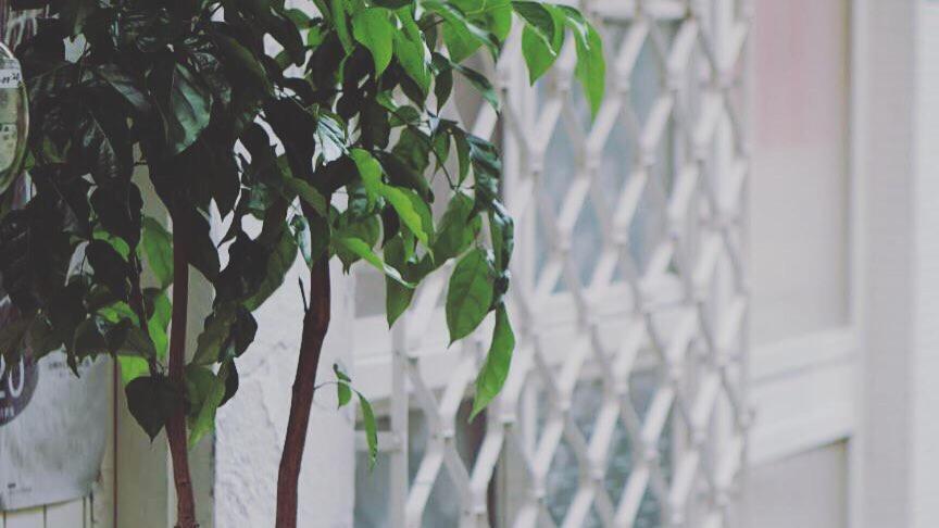 可以住canlive Ταϊνάν Εξωτερικό φωτογραφία